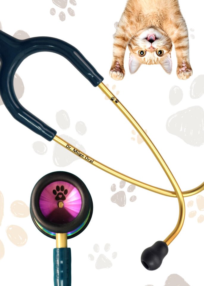 3M Littmann Classic II Pediatrik 2153 Stetoskop | Karayip Mavisi Hortum
